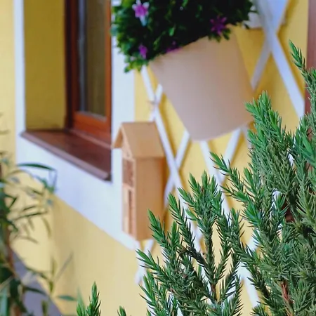 Ferienhaus Fecskefeszek Vendeghaz *