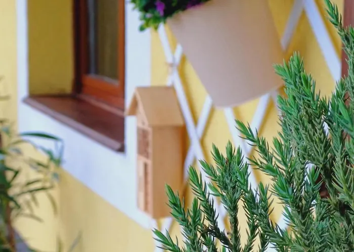 Ferienhaus Fecskefeszek Vendeghaz *